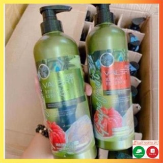 [TẶNG Ủ TÓC] Dầu gội cặp BƯỞI -Grapefruit 850ml ( cả cặp gội + xả 2 chai) - MICKEY COSMETICS