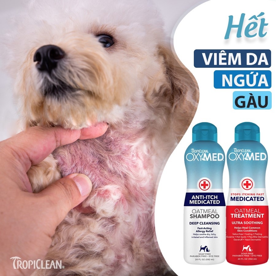 Sữa tắm ngừa viêm da, Dầu xả ngừa viêm da và cấp ẩm cho chó mèo Tropiclean Oxymed 592ml