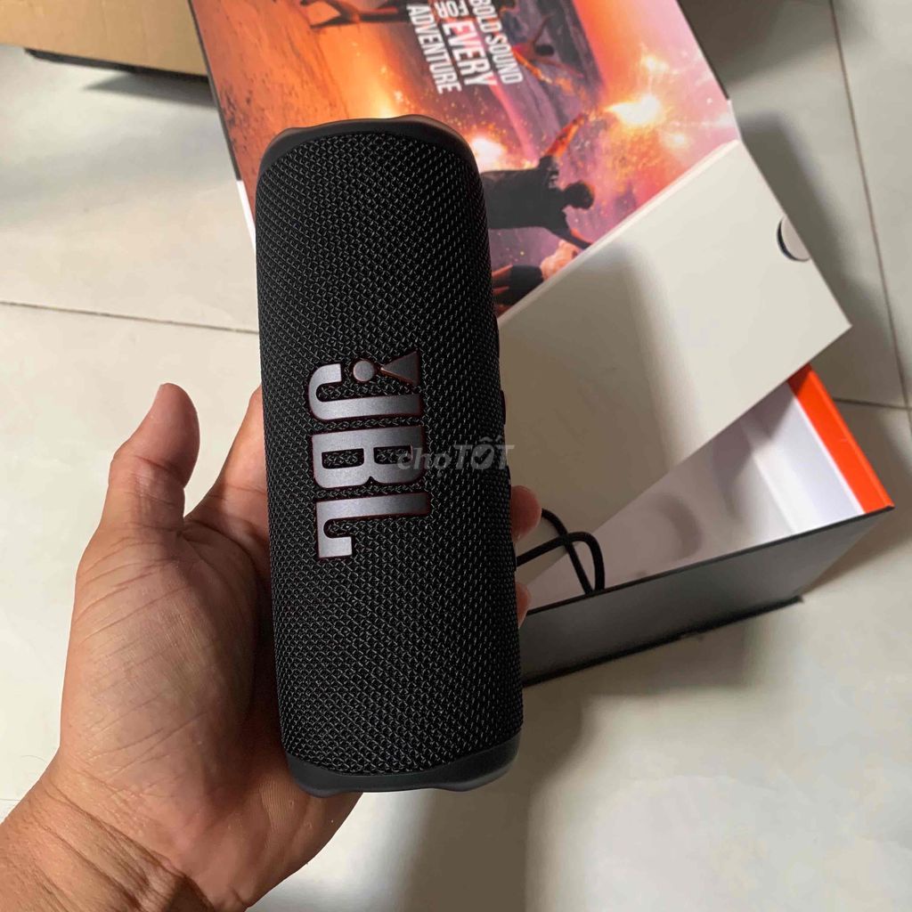 Loa JBL Flip 6 ThinkSkyCn1