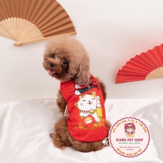 ÁO MÈO THẦN TÀI