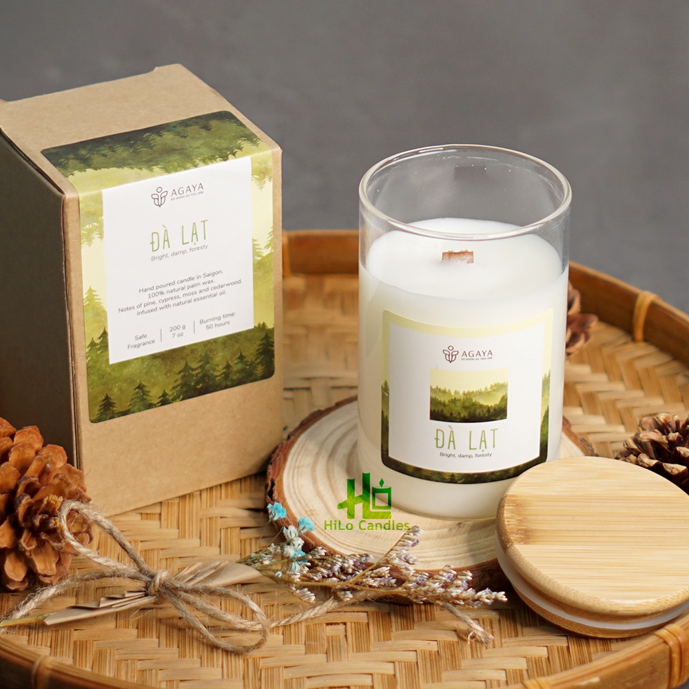 Nến Thơm Candle Cup / AGAYA Cup