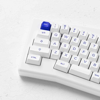 Bàn phím AKKO ACR Pro Alice Plus (Spray Painted White / Hotswap / AKKO CS Crystal / Gasket Mount)