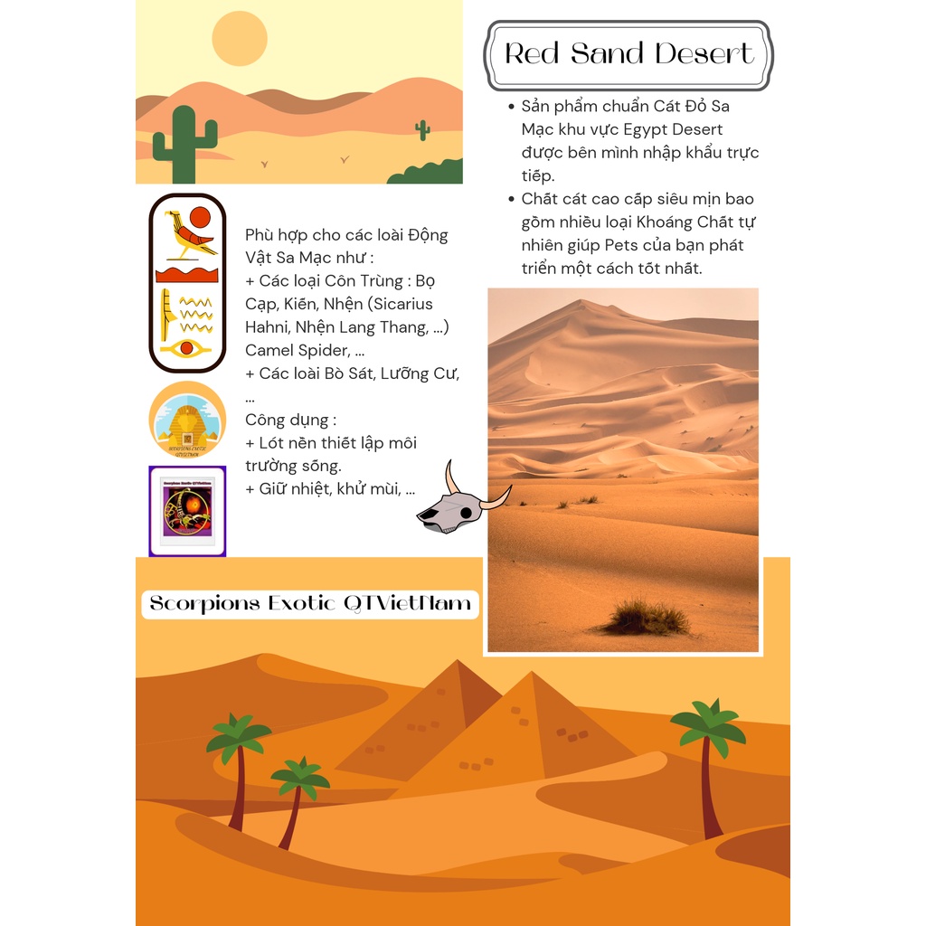 Super Sand Cát Sa Mạc Chính Hãng SEQT Cao Cấp Chuyên Dụng Chính Hãng "Super Sand" (Red & Yellow Sand Desert)