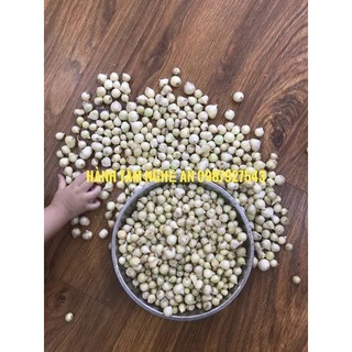 [còn hàng] 1kg Hành tăm(củ nén) Nghệ An, hành sạch sẽ, không hư hỏng