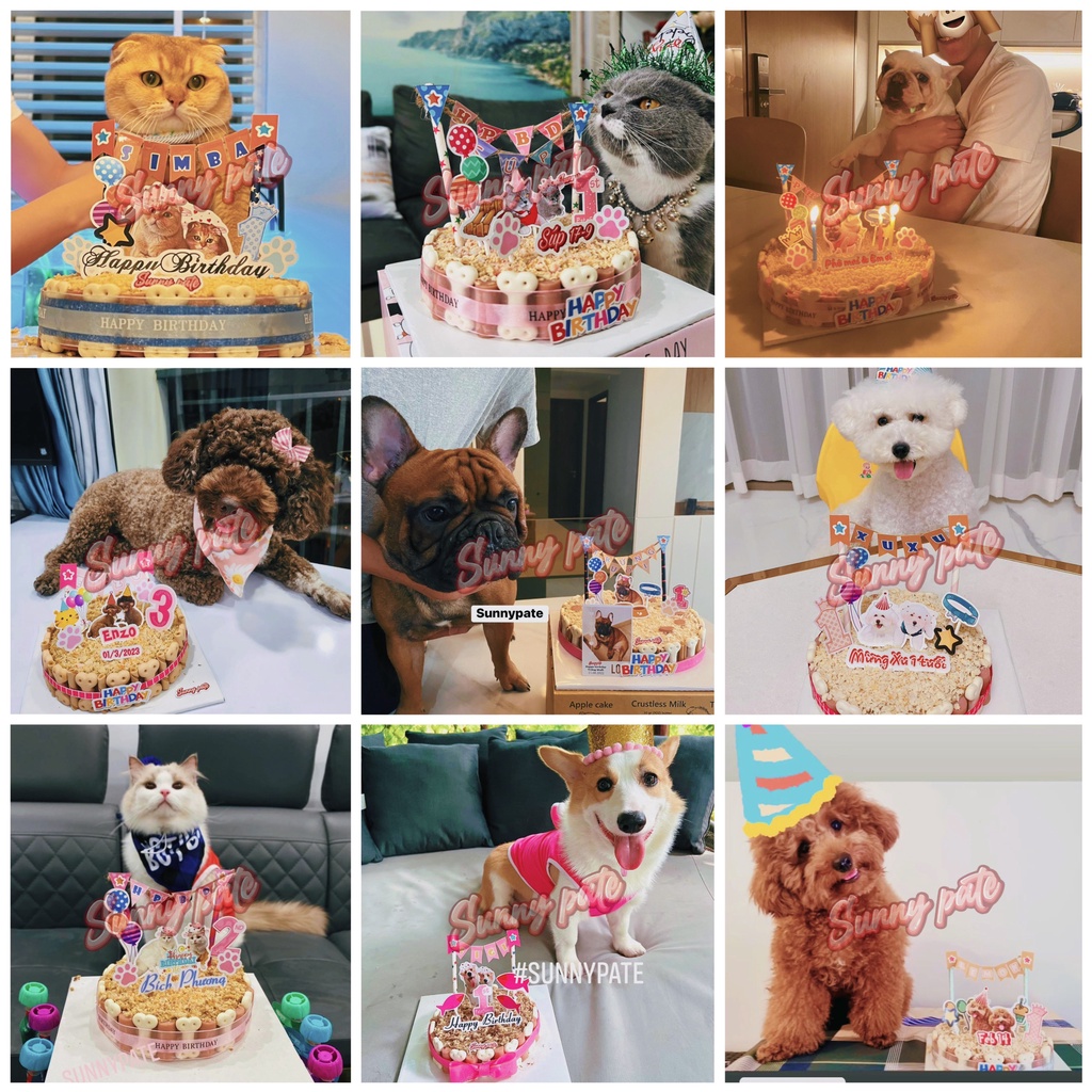 Bánh sinh nhật pate tươi phủ topping ức gà / cá ngừ dành cho thú cưng - Bánh pate tươi Sunny