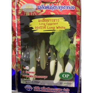 hạt giống cà trắng dài nhập khẩu thái lan