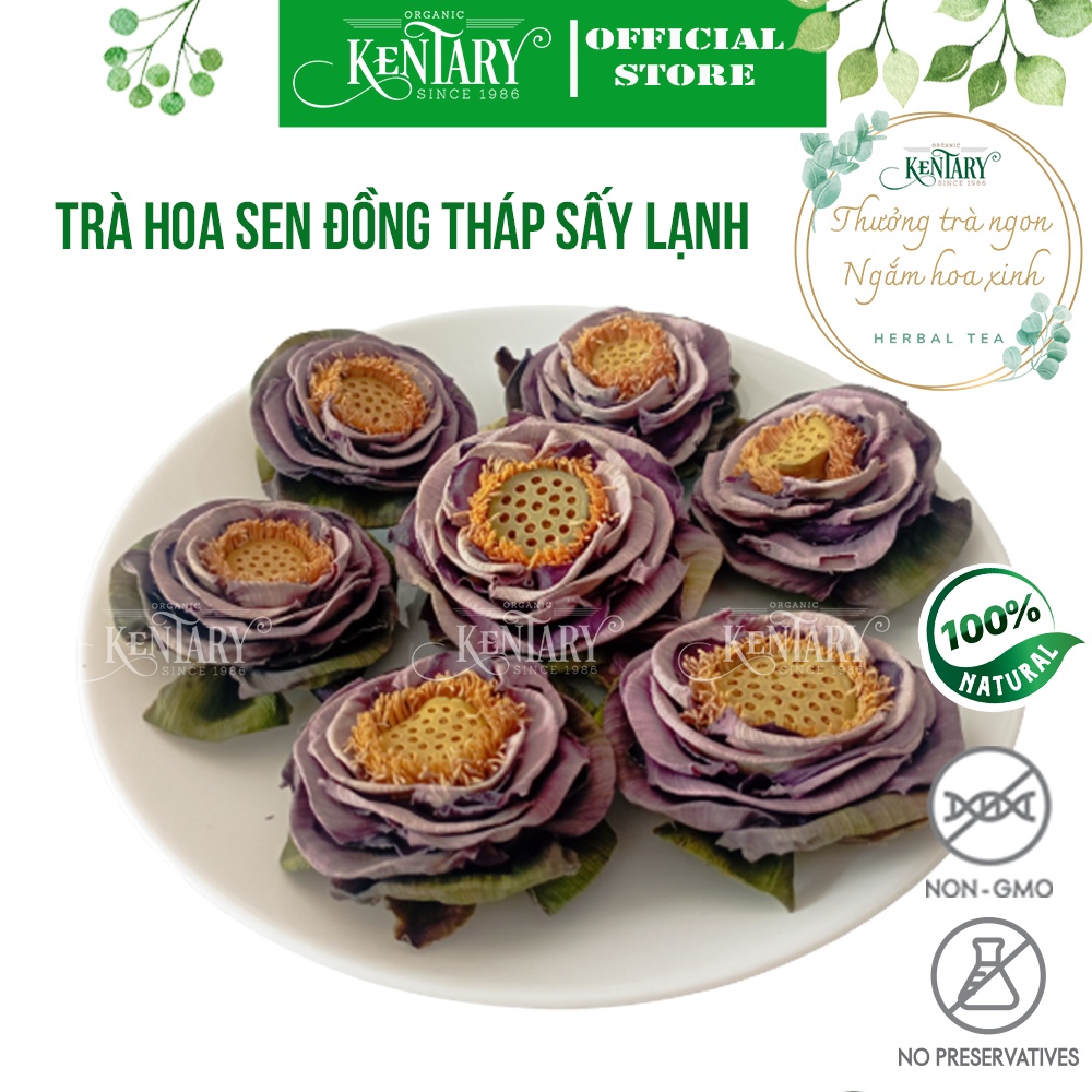 Trà Hoa Sen Nở Hoa Kentary - Giúp Ngủ Ngon, Giảm Cân, Thảo Mộc Healthy - 1 bông