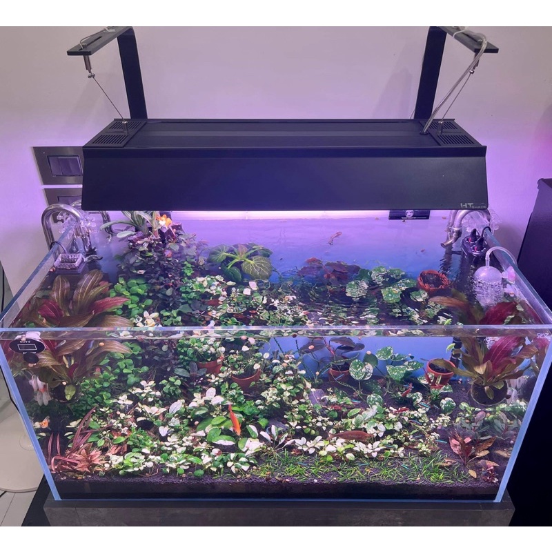 SHADE HT  AT5 D95w vs D130w CHẤT LIỆU INOX 430