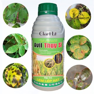 Chai 1 Lít Anvil Thụy Sĩ 50SC – Đặc trị Nấm Lá Rỉ Sắt, Thán Thư,Lem Lép hạt