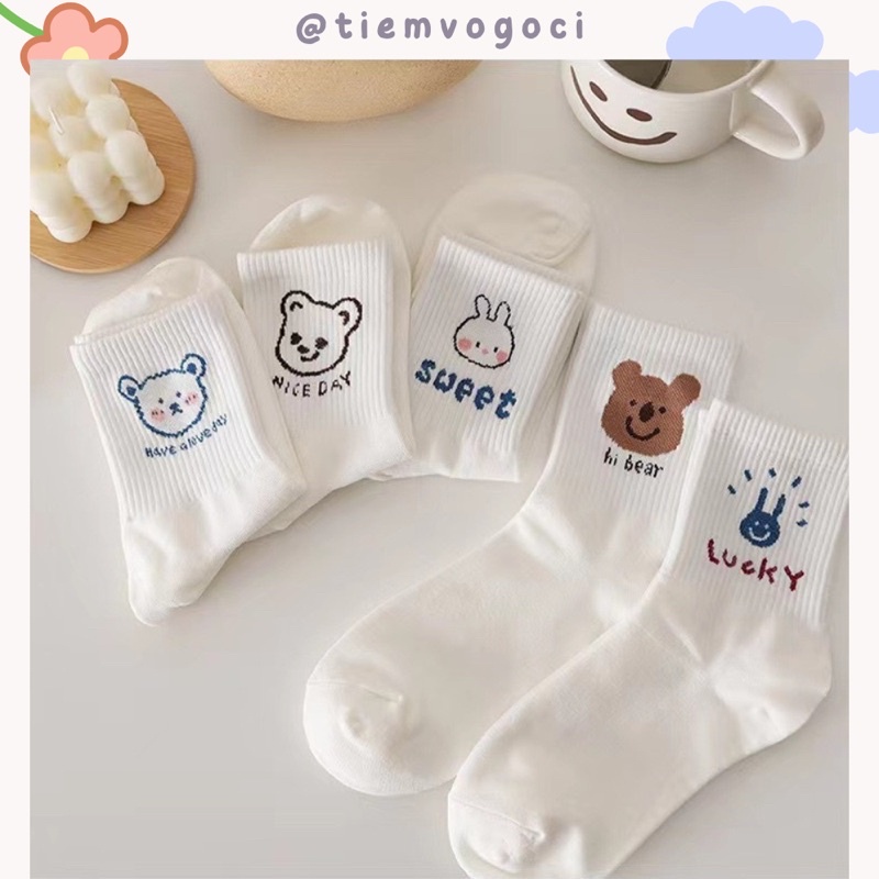 SET 5 ĐÔI Tất Cổ Ngắn Combo Tặng Túi Zip - Tiemvogoci