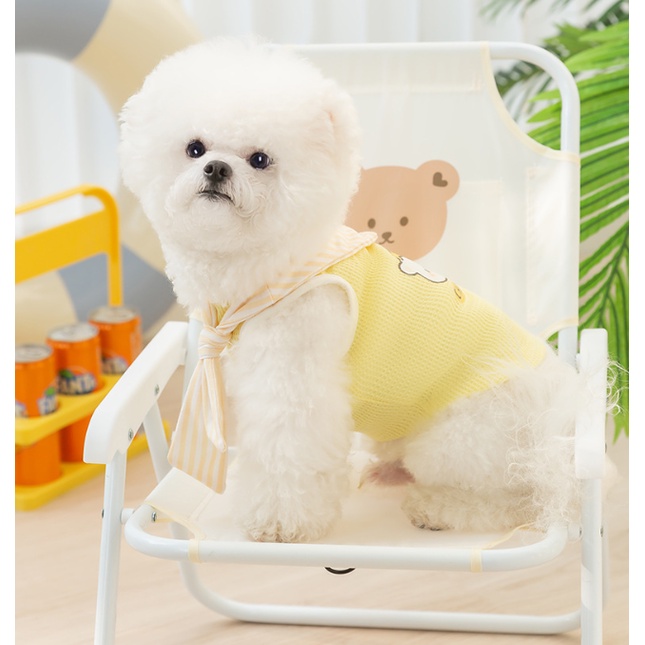 ÁO GẤU CHEESE VÀNG CỔ THỦY THỦ MÁT MẺ THOÁNG KHÍ SIÊU XINH XẮN MÙA HÈ CHO THÚ CƯNG