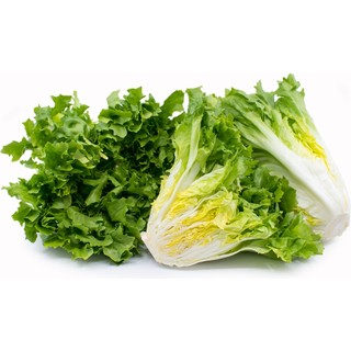 Hạt giống Xà lách ESCAROLE 2gram