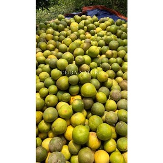 LEIRA NATURE | Xịt thảo dược Tóc Dày