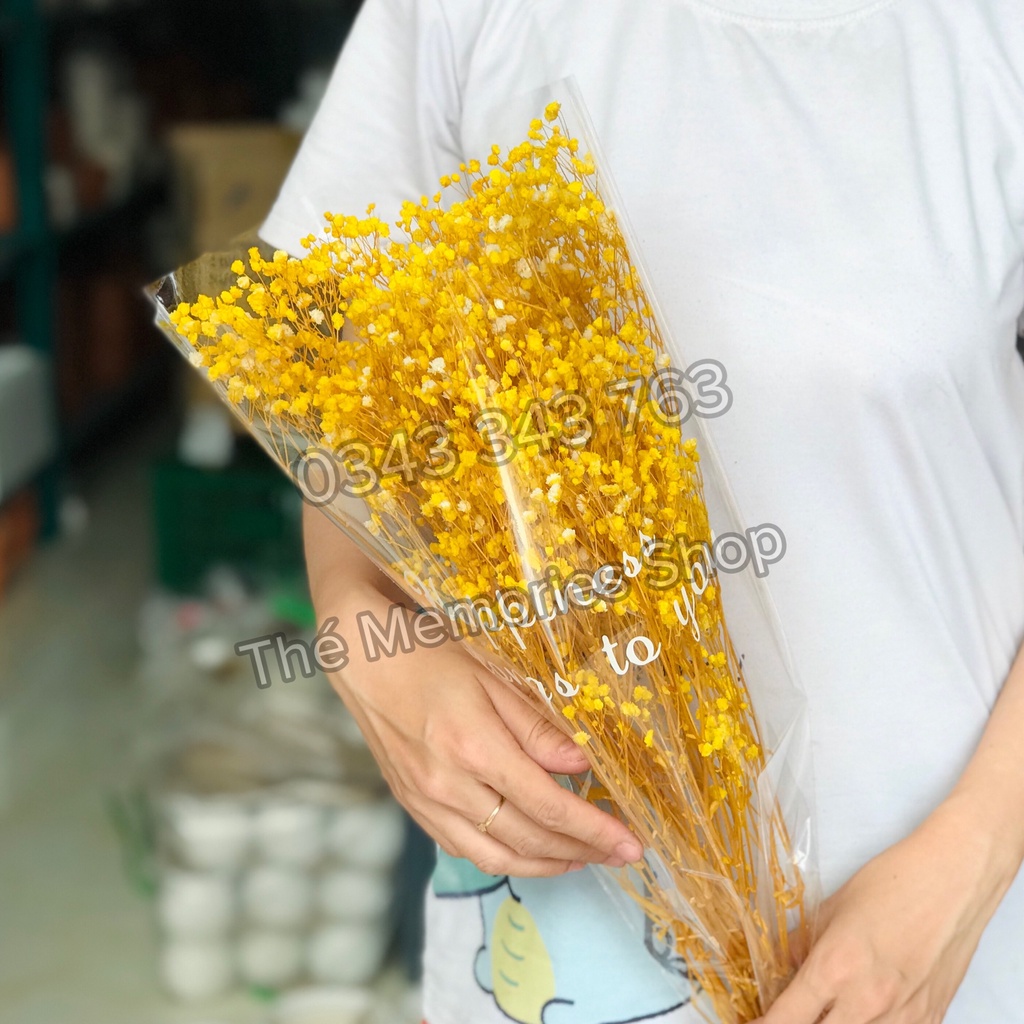 Hoa Baby Khô, Hoa Khô Trang Trí, Hoa Baby Cô Gái, Decor, Làm Quà Tặng Sinh Nhật, Đám Cưới, Quà 8/3, 20/10