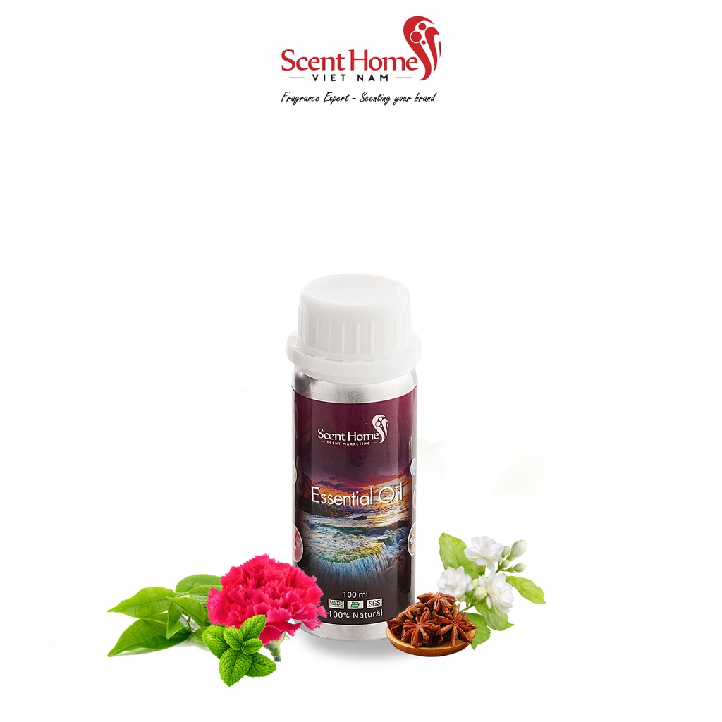 [Chính hãng] Tinh dầu The Lady - Scent Homes (The Lady - 50ml,100ml,250ml)