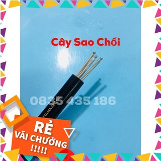 Cây sao chổi - dụng cụ diện chẩn