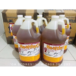 Healthy coat bóng mượt, nở cơ, lì đòn gà đá