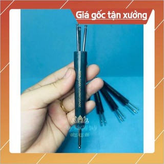 Cây Sao Chổi Diện Chẩn
