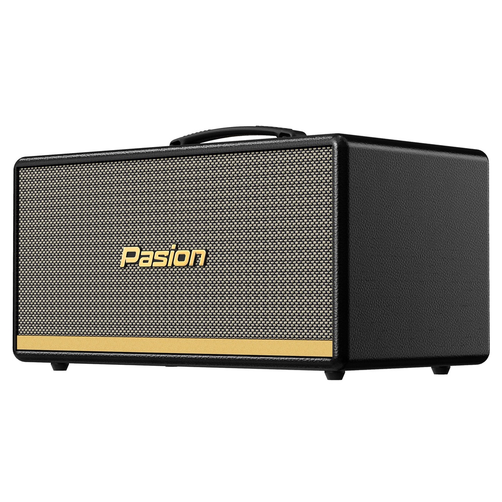 Loa mini xách tay Pasion 2 Hàng Chính Hãng 2022 - Công Ty Thiên Phúc