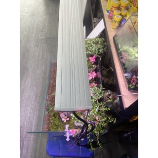 ĐÈN LED COCO WRGB UR800, R900