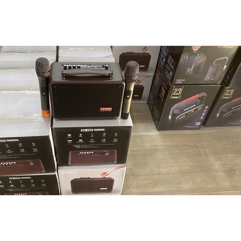Loa karaoke chính hãng Temeisheng RB600 cao cấp giá tốt