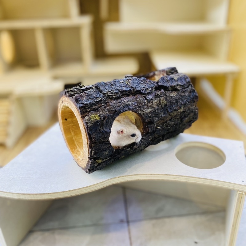 Khúc gỗ chui, hang trú gỗ cho hamster, sóc