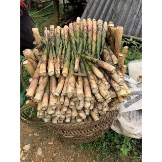 Măng Ớt Mác Mật Lạng Sơn (đặc sản) lọ 1,5kg