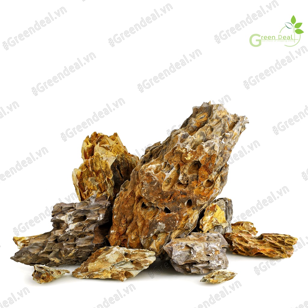 Dragon Stone  | Đá Tiger setup Layout hồ cá thủy sinh, trang trí tiểu cảnh bonsai, hồ bán cạn