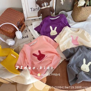 Áo phông cotton thỏ hồng QCCC