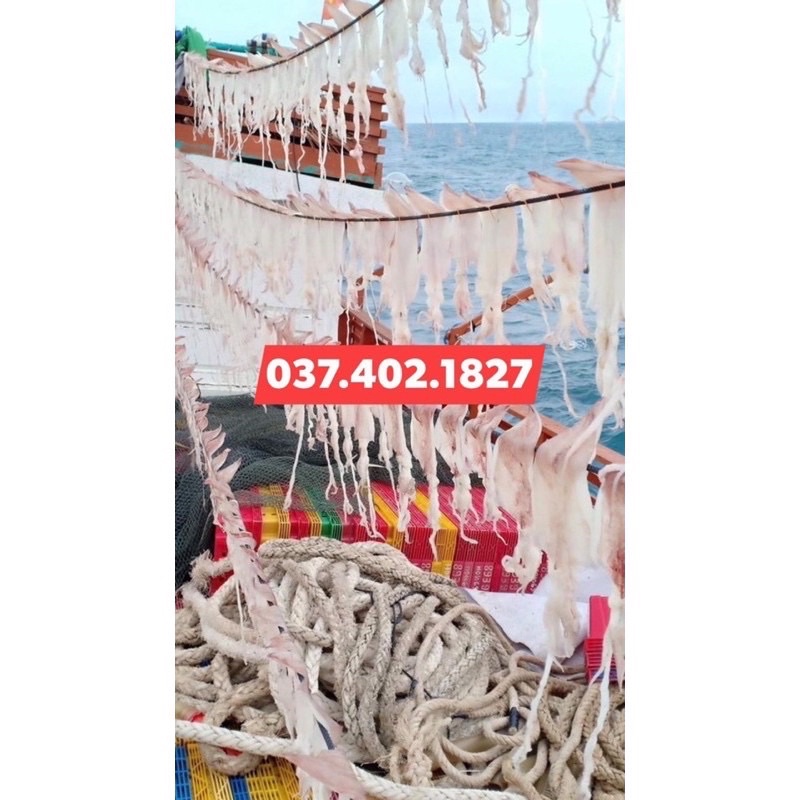 10-12 con khô mực câu tay Lý Sơn tươi ngọt hàng đặc biệt chưa lên phấn trắng 250gram