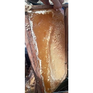 MẬT ONG NGUYÊN CHẤT 500 GRAM