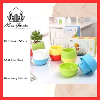 Chậu nhựa tự tưới 🔥FREE SHIP🔥 trồng sen đá, cây cảnh nhỏ