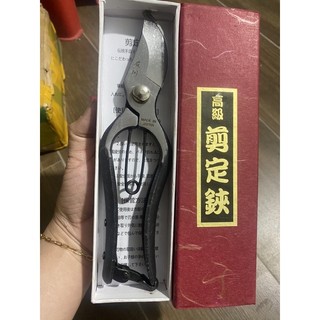 Kéo cắt cành Nhật bãi,