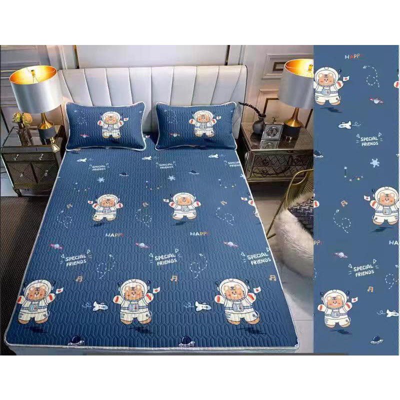 Ga điều hòa m4 m5 m6 m8 gồm ga trải trên đệm kèm 2 áo gối điều hòa mẫu phi hành gia -chuyengagoigiax