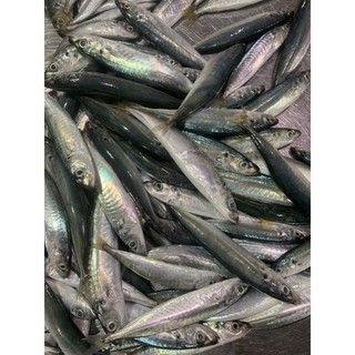 Cá nục nhỏ làm sạch - 0.5kg
