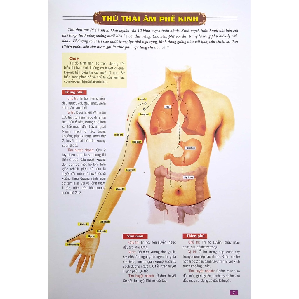 Sách - Huyệt Vị Kinh Lạc Cơ Thể Người