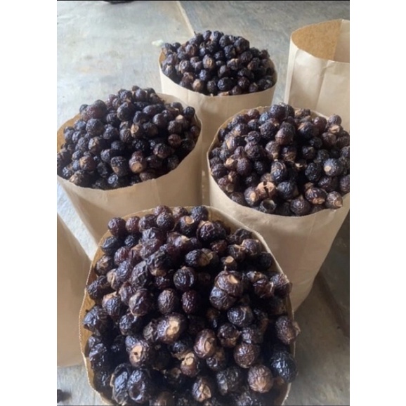 1kg Bồ Hòn Tách Hạt