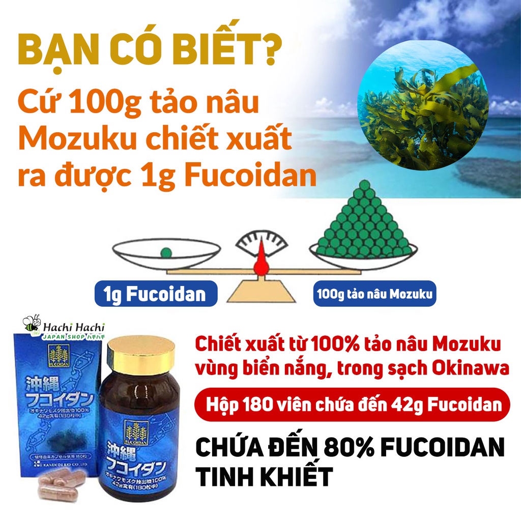 Viên uống Fucoidan hỗ trợ phục hồi sau ung thư 180 viên - Hachi Hachi Japan Shop