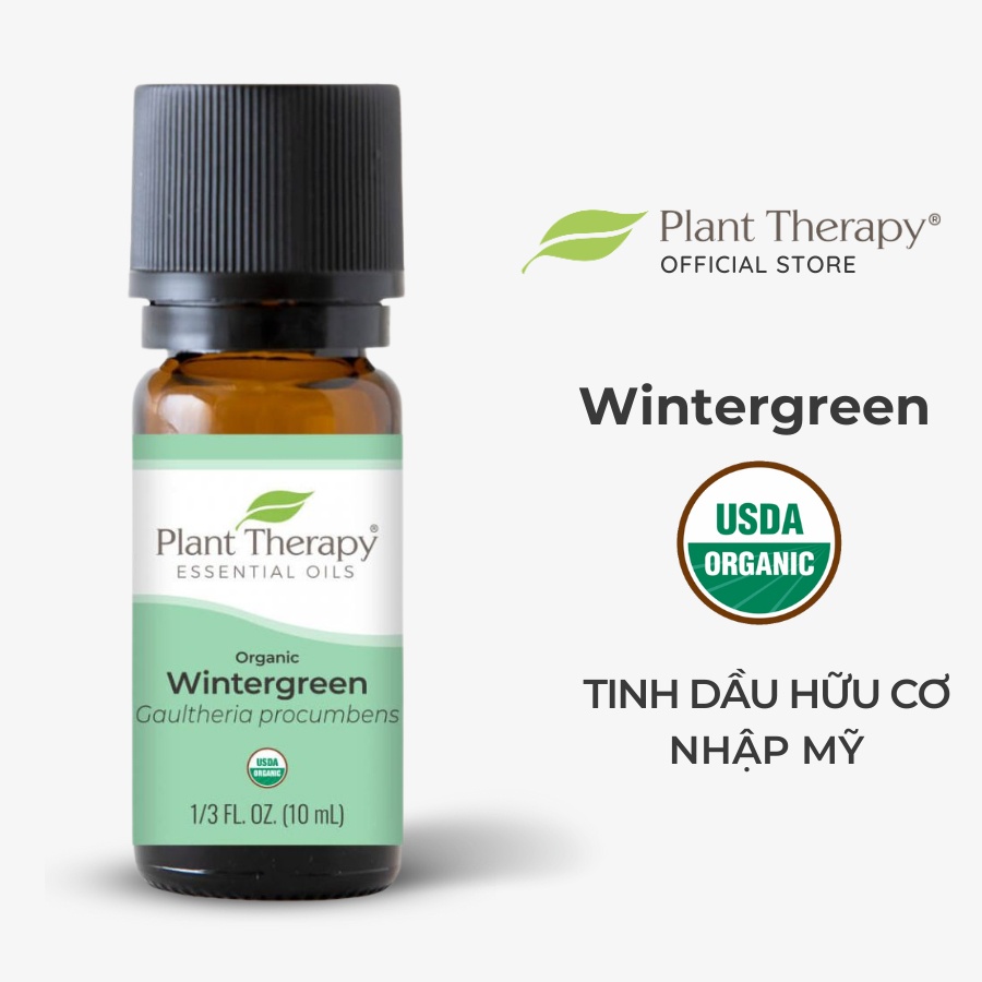 Tinh dầu hữu cơ Lộc Đề Xanh (Wintergreen) Plant Therapy - Organic essential oil