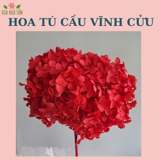 Hoa cẩm tú cầu khô 1gr, 5gr trang trí Noel - decor, handmade Hoa Nhà Tấm