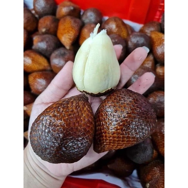 mây indo 500gr