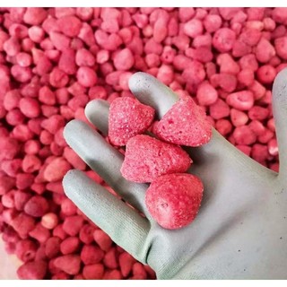 Dâu Tây sấy giòn
