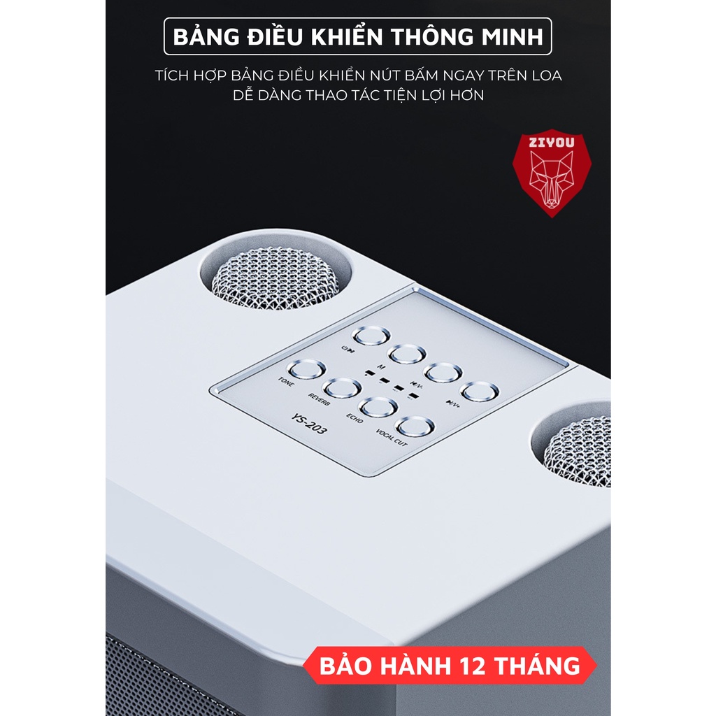 Loa Hát Karaoke Bluetooth Không Dây Ziyou 203BT Có 2 Micro, Điều Chỉnh Được Âm Thanh