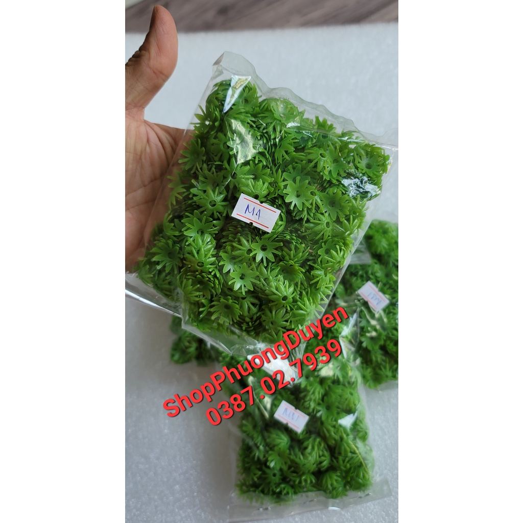 50 gram đài nhựa