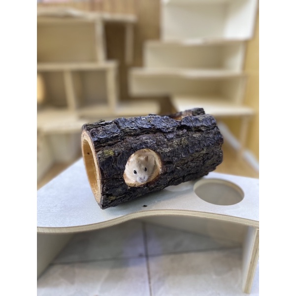 Khúc gỗ chui, hang trú gỗ cho hamster, sóc