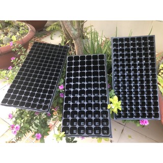 1 khay ươm hạt giống 72 lỗ ,105 lỗ ,128 lỗ