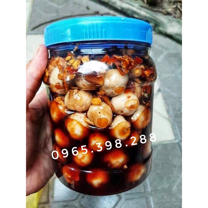 Cà ngâm mắm Nghệ An