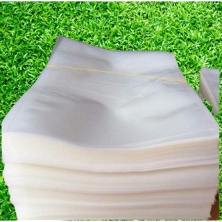Túi hút chân không size 18*25, 2 mặt trơn