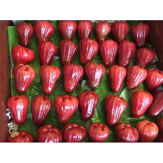 1 kg roi đỏ An Phước - Ship hoả tốc Hà Nội