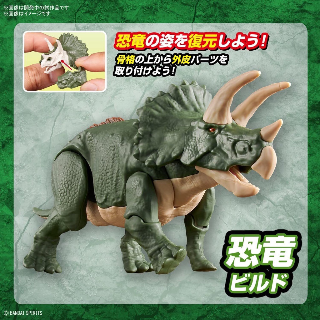Mô hình lắp ráp PLANNOSAURUS Triceratops Bandai 4573102642639